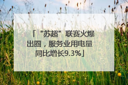 “苏超”联赛火爆出圈，服务业用电量同比增长9.3%